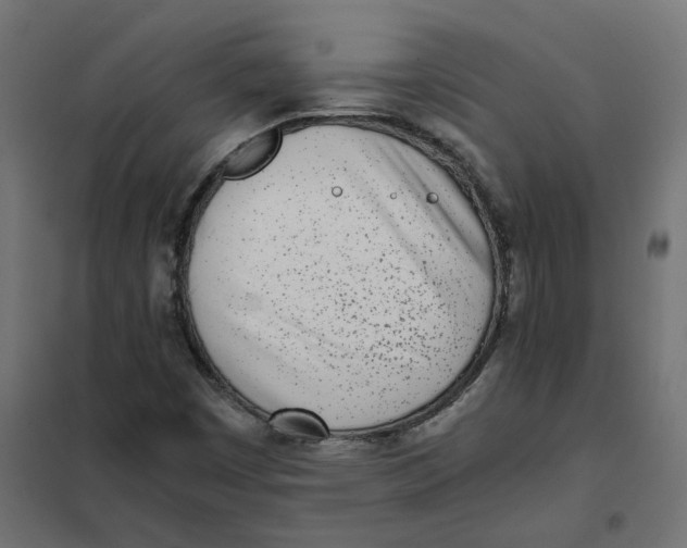 X0000102031449200808081801