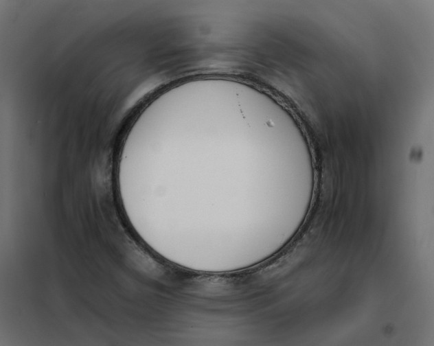 X0000102031450200808081801