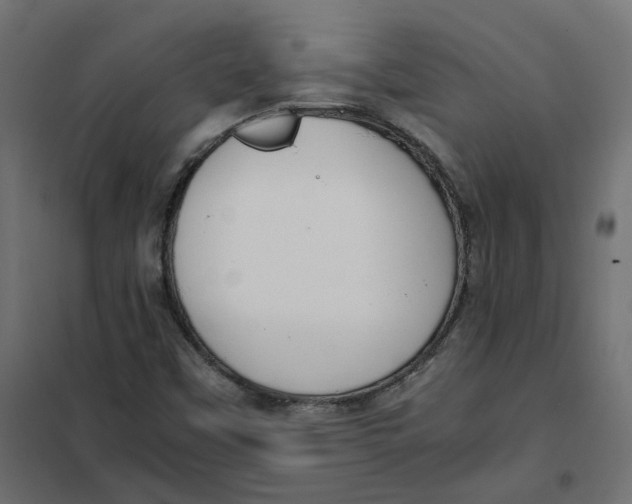 X0000102031451200808081801