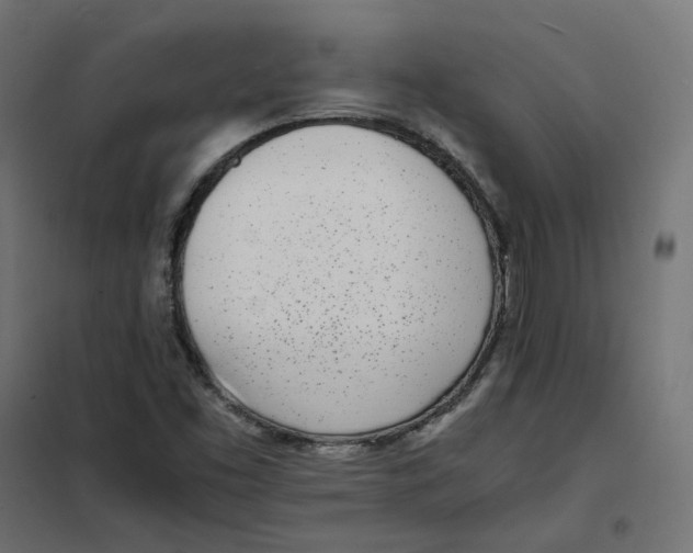 X0000102031453200808081801