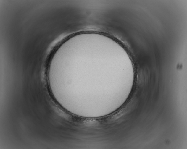 X0000102031454200808081801