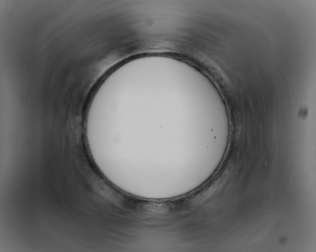 X0000102031457200808081801