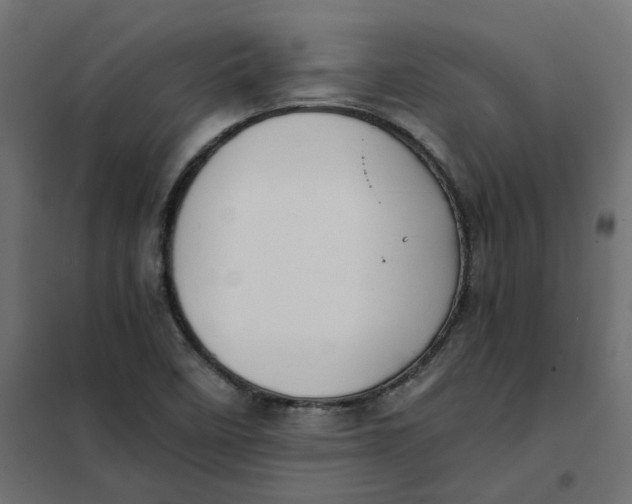 X0000102031458200808081801