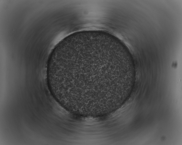 X0000102031459200808081801