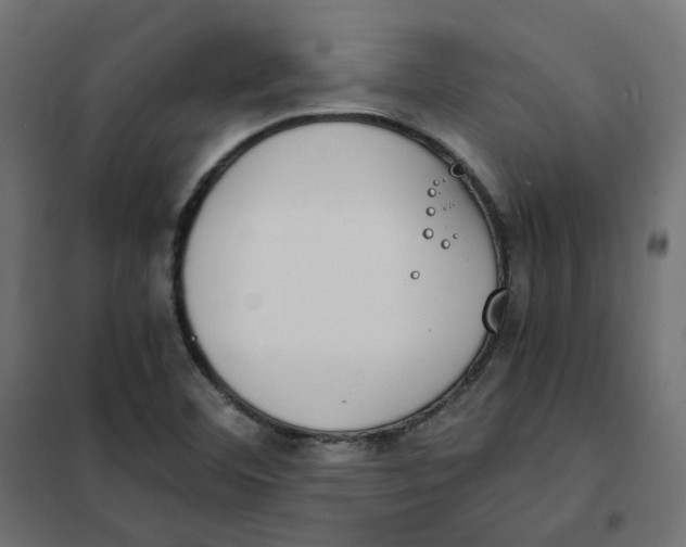 X0000102031460200808081801