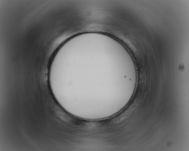 X0000102031461200808081801