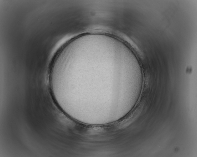 X0000102031462200808081801