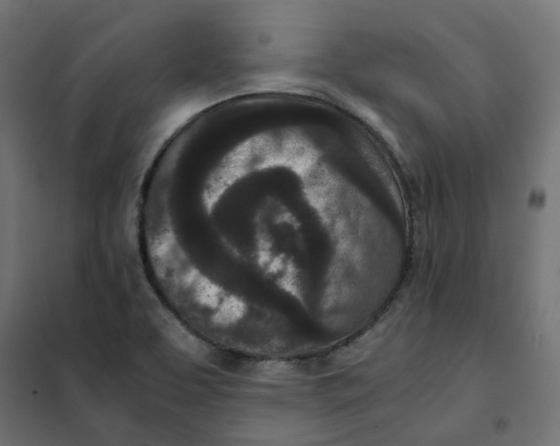 X0000102031463200808081801