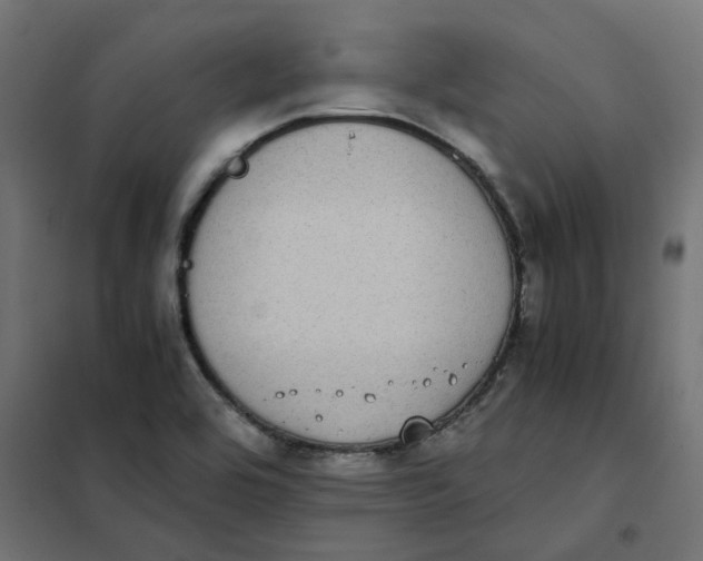 X0000102031464200808081801