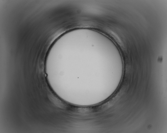 X0000102031465200808081801