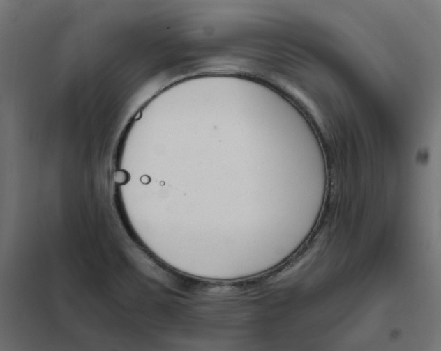 X0000102031467200808081801