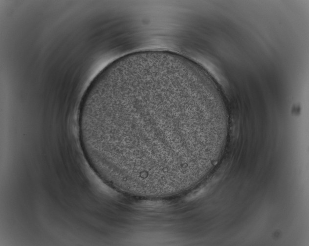 X0000102031468200808081800