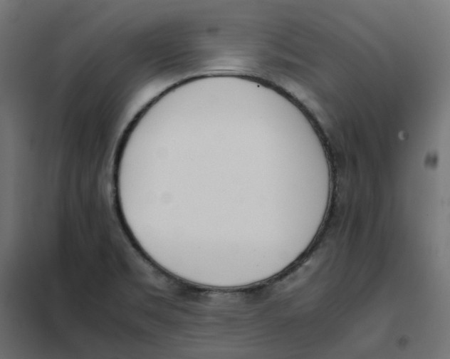 X0000102031469200808081800