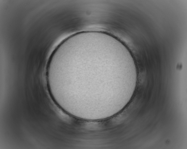 X0000102031470200808081800