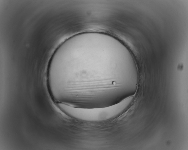 X0000102031471200808081800