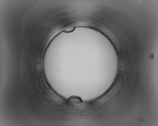 X0000102031473200808081800