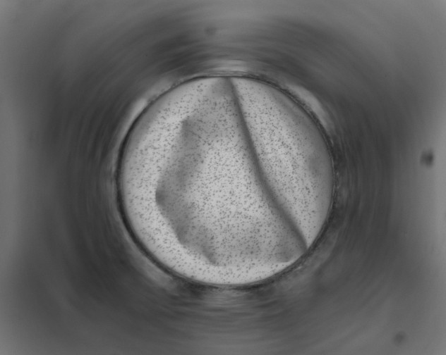 X0000102031475200808081800