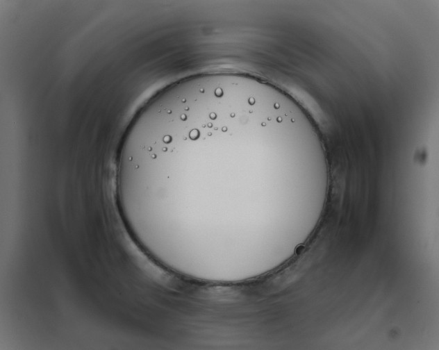 X0000102031476200808081800