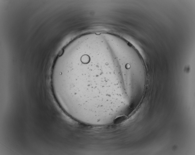 X0000102031477200808081800