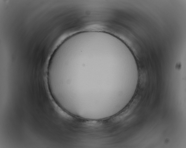 X0000102031478200808081800