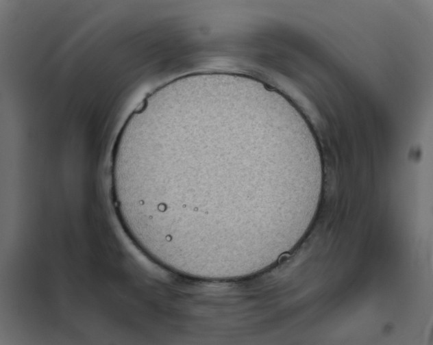 X0000102031479200808081800