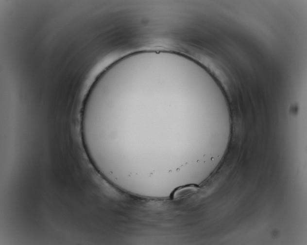 X0000102031480200808081800