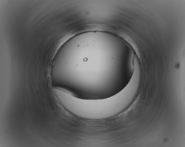 X0000102031481200808081800