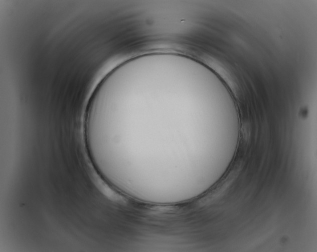 X0000102031482200808081800