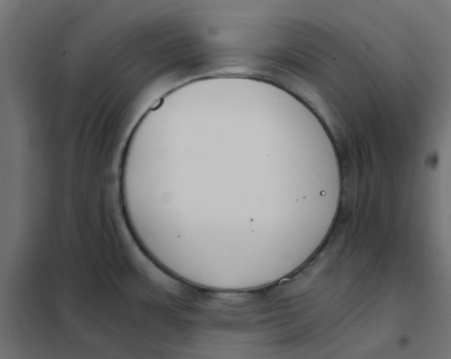 X0000102031483200808081800