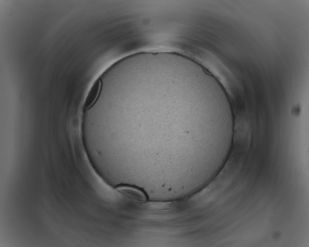 X0000102031484200808081800