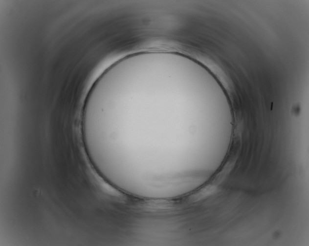 X0000102031486200808081800