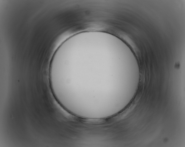 X0000102031487200808081800