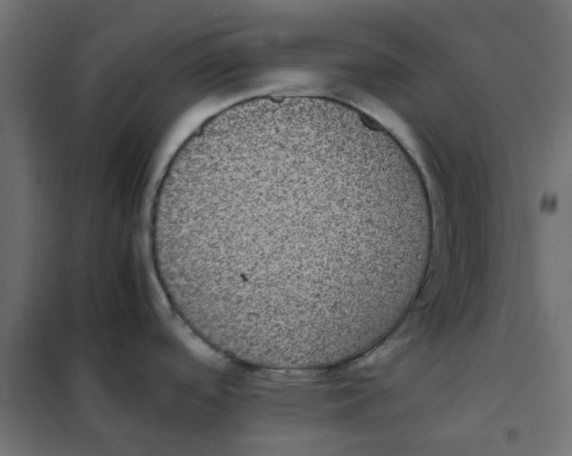 X0000102031488200808081800