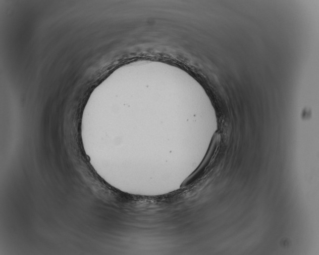 X0000102031489200808081759