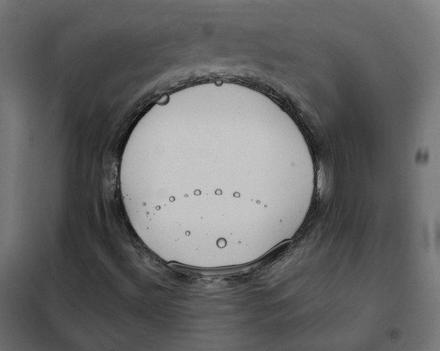 X0000102031492200808081759