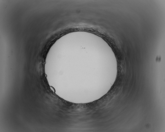 X0000102031493200808081800