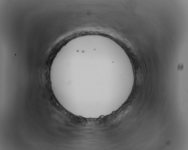 X0000102031494200808081800