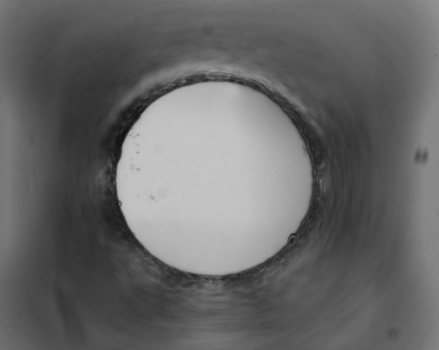 X0000102031495200808081800