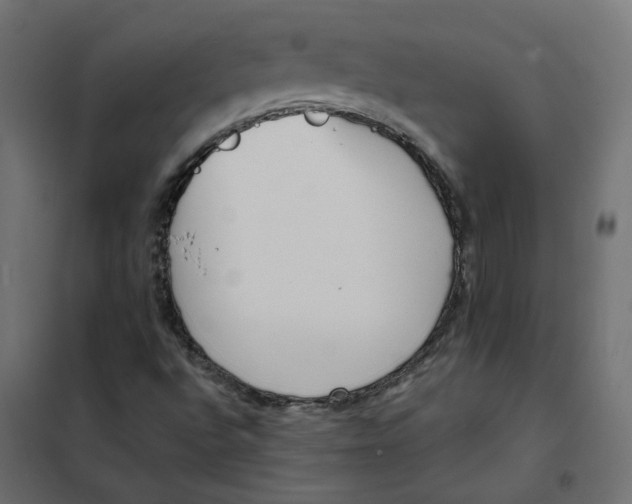 X0000102031496200808081800