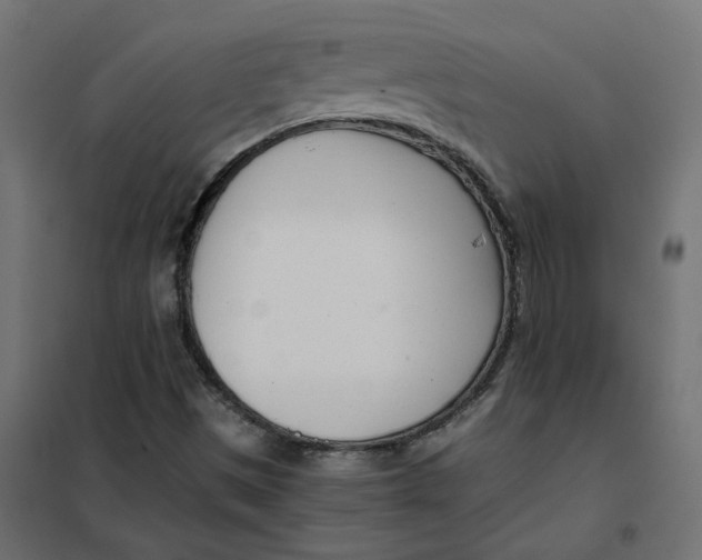 X0000102031497200808081800