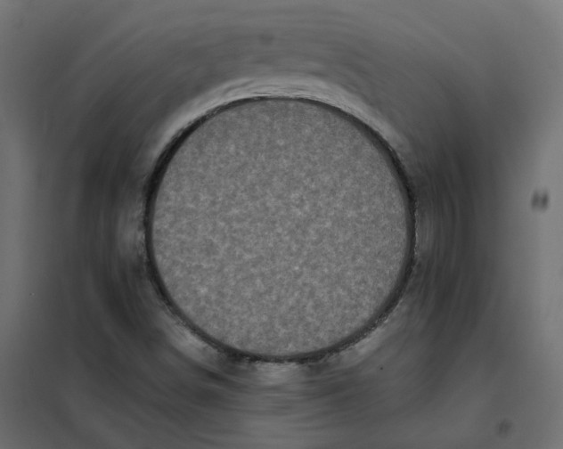 X0000102031498200808081800