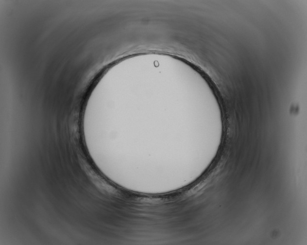 X0000102031499200808081800