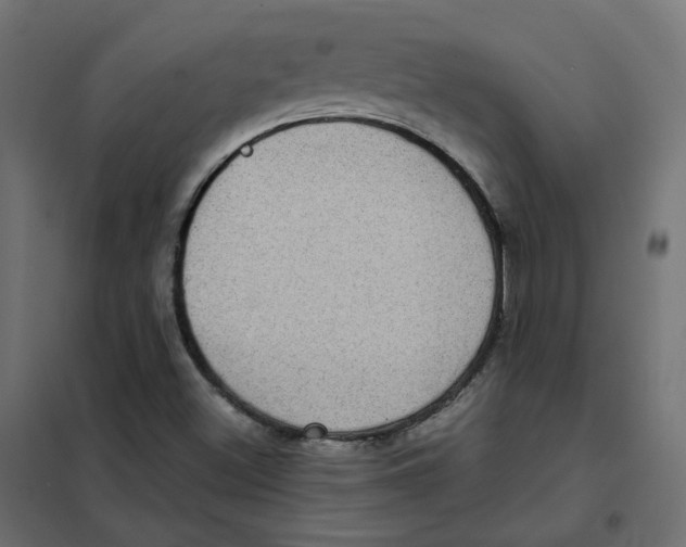 X0000102031500200808081800