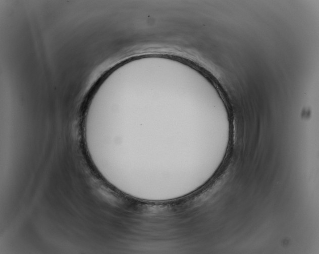 X0000102031501200808081800