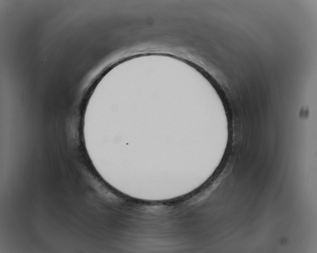 X0000102031502200808081800