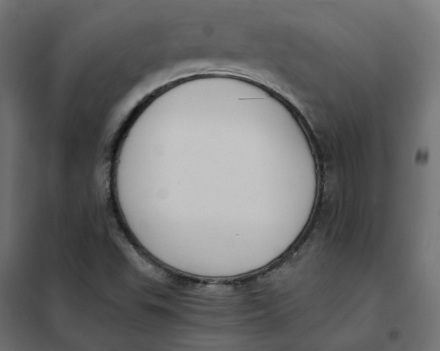 X0000102031503200808081800