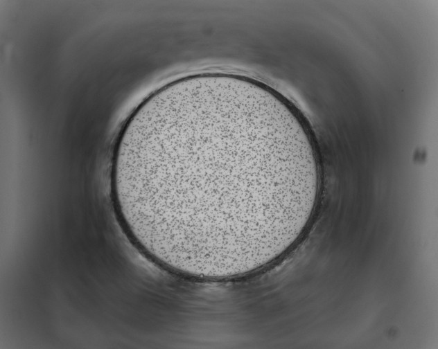 X0000102031504200808081800