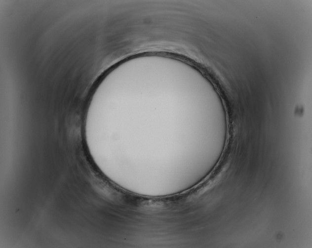 X0000102031505200808081800