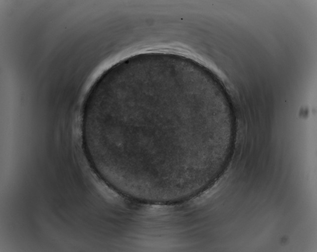 X0000102031506200808081800