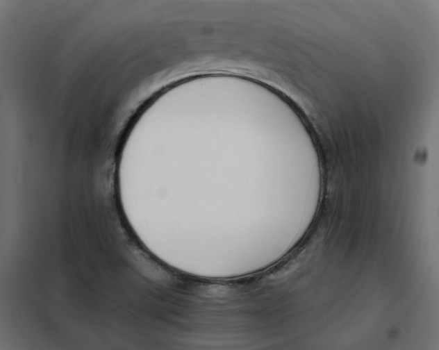 X0000102031507200808081800